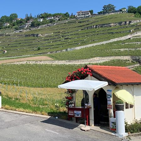 Апартаменты La Gremillette Gourmande Lavaux Rivaz Экстерьер фото