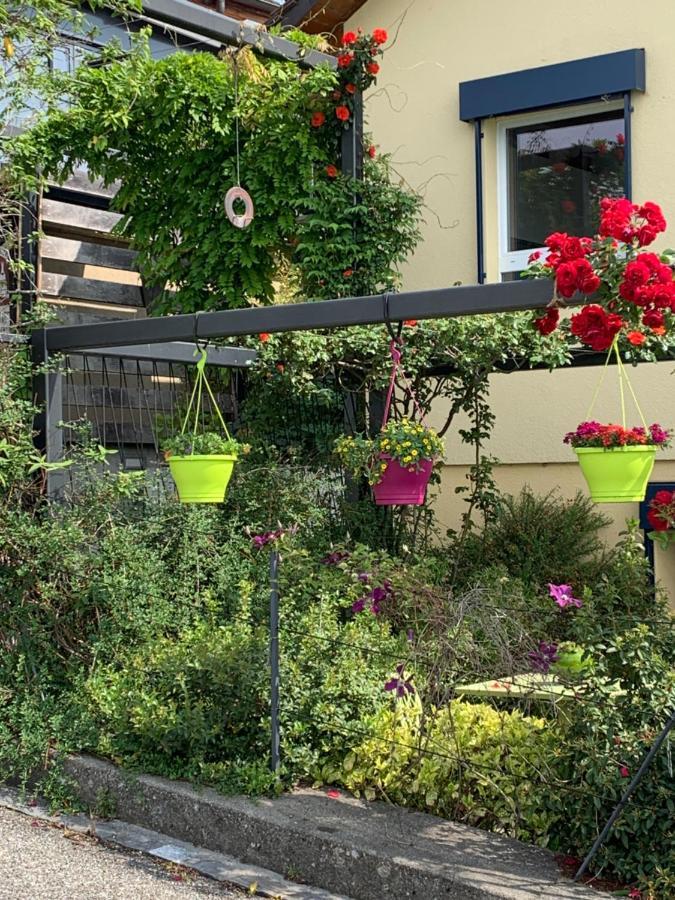 Апартаменты La Gremillette Gourmande Lavaux Rivaz Экстерьер фото