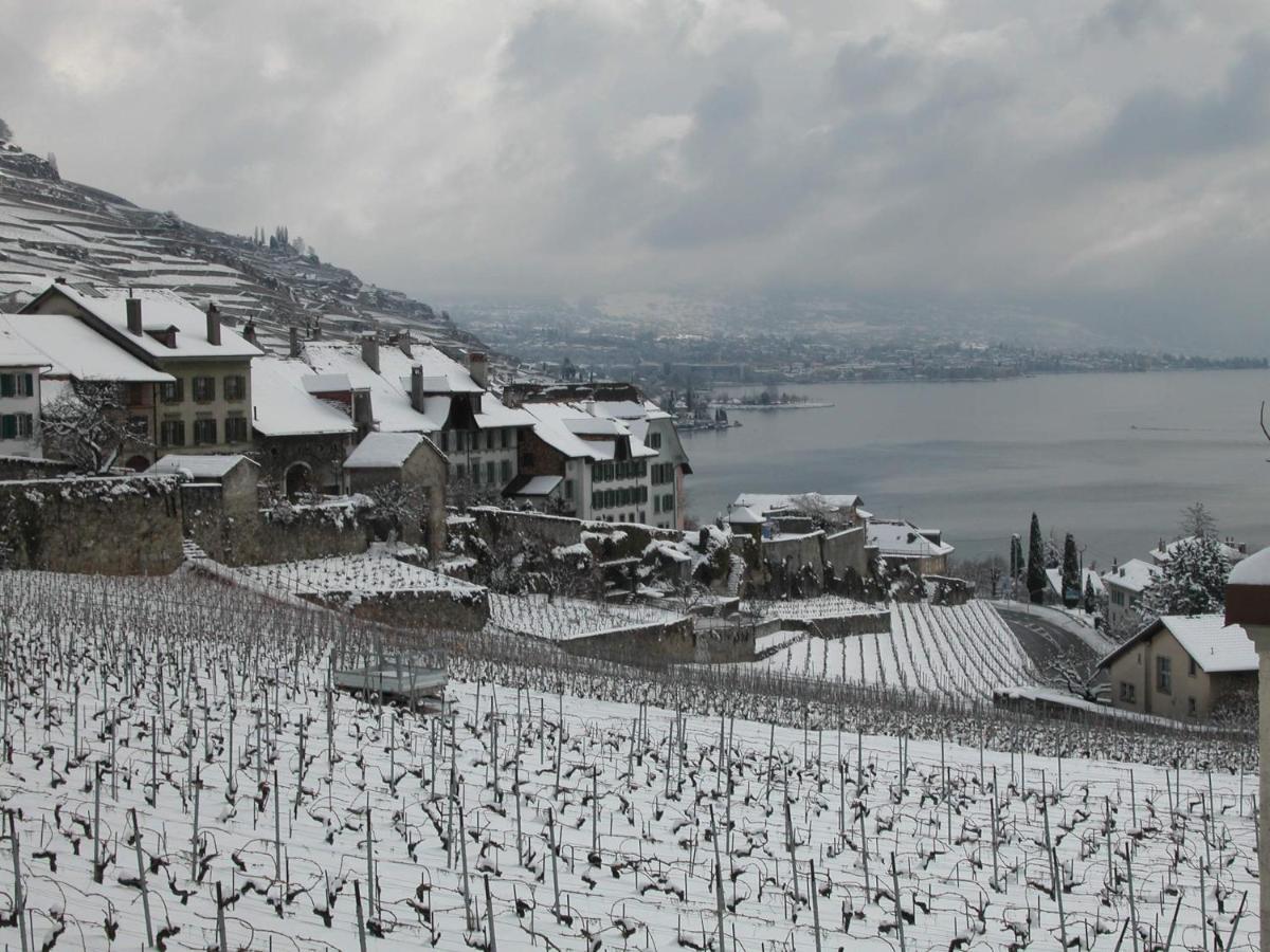 Апартаменты La Gremillette Gourmande Lavaux Rivaz Экстерьер фото